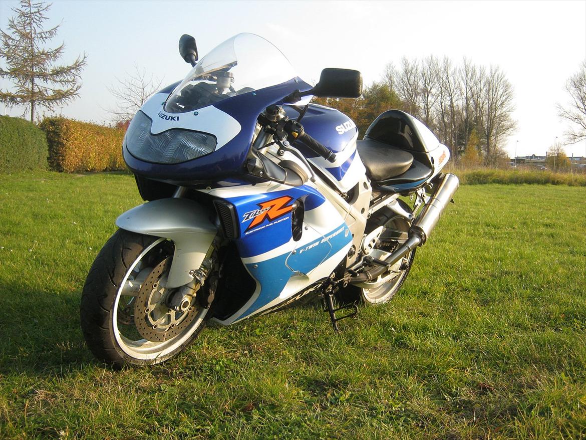 Suzuki TL1000R billede 3