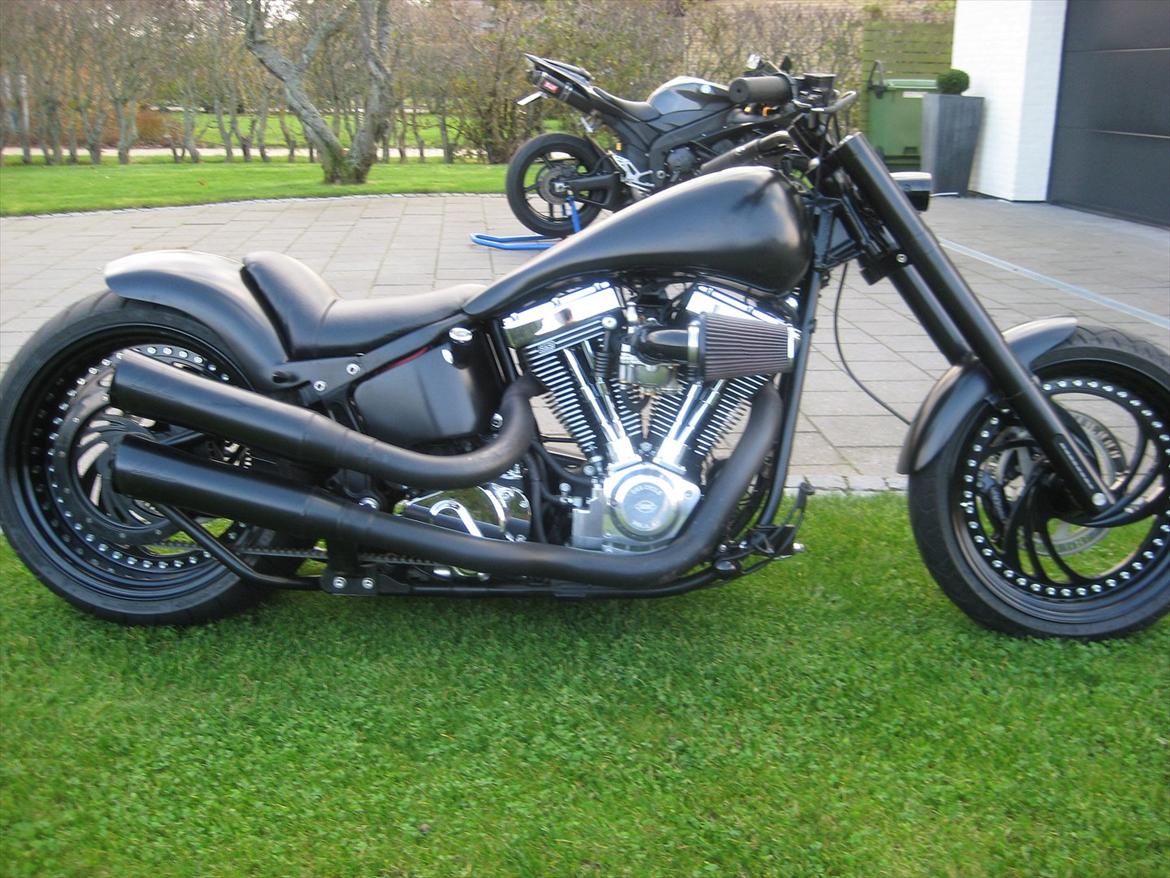 Harley Davidson FLST billede 1