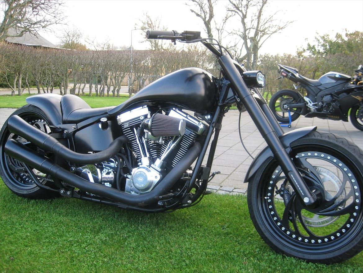 Harley Davidson FLST billede 5