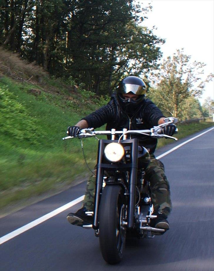 Harley Davidson Hardass 1340 billede 1