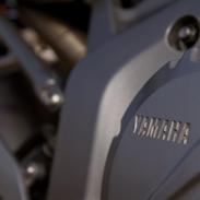 Yamaha FZ6-N
