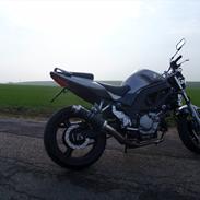 Suzuki SV 650 [SOLGT]