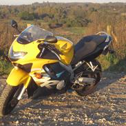 Honda CBR 600 F4