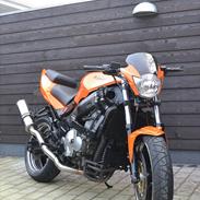 Kawasaki zzr 600 STREET FIGHTER