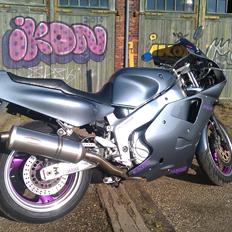 Yamaha FZR 1000 Exup