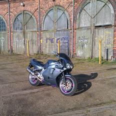 Yamaha FZR 1000 Exup