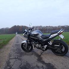 Suzuki SV 650 [SOLGT]