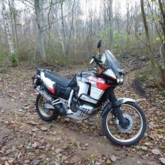 Honda XRV 750 africa twin RD04