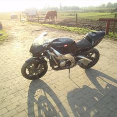 Aprilia rs 250cc 2takt v2 