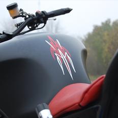 Honda CBR 900 Streetfighter