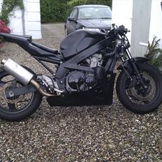 Kawasaki zzr 600 streetfighter