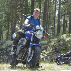 Honda Cb 600 Hårnet