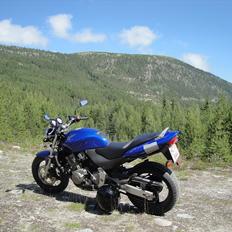 Honda Cb 600 Hårnet