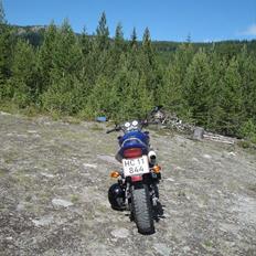 Honda Cb 600 Hårnet