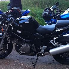 Suzuki SV1000N