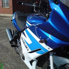 Suzuki gs 500 f