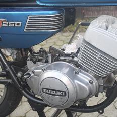 Suzuki gt 250 (SOLGT)