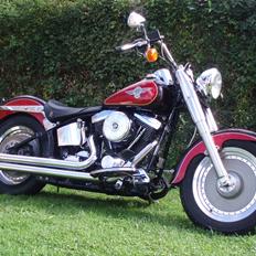 Harley Davidson FLSTF, FAT BOY
