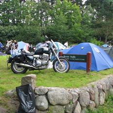 Triumph thunderbird 900