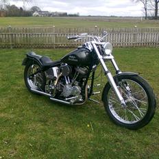 Harley Davidson 1200 panhead stivstil