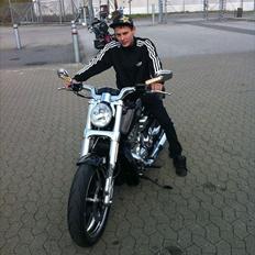 Harley Davidson H-D VRSCF V-ROD MUSCLE