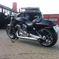Harley Davidson H-D VRSCF V-ROD MUSCLE