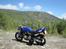 Honda Cb 600 Hårnet