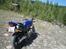 Honda Cb 600 Hårnet