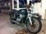 Suzuki GT500