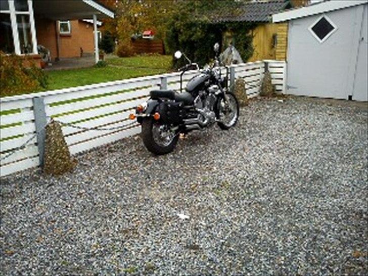 Yamaha virago 535 billede 3