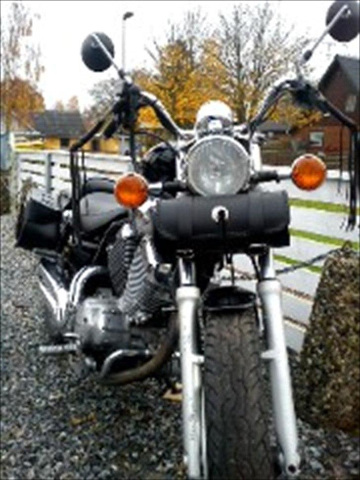 Yamaha virago 535 billede 6