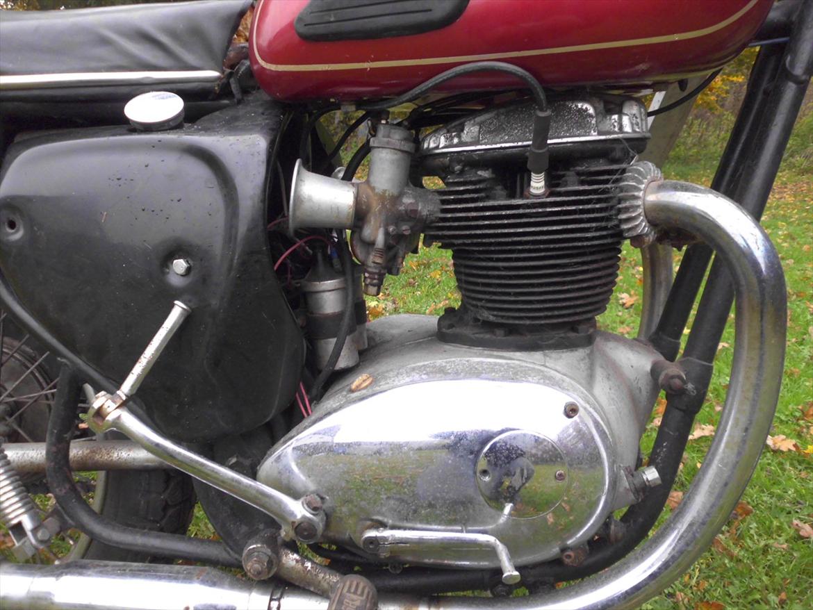 BSA A65 Lightning billede 4