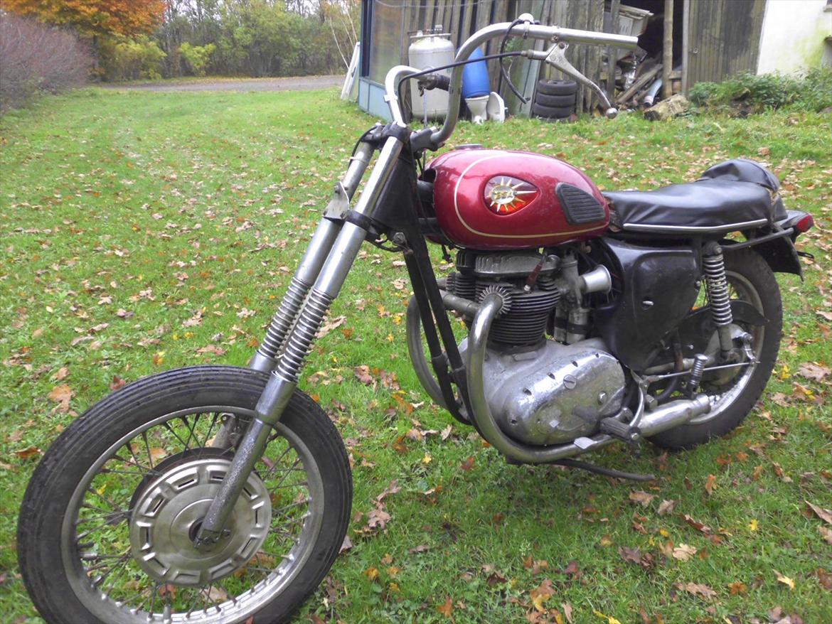 BSA A65 Lightning billede 6