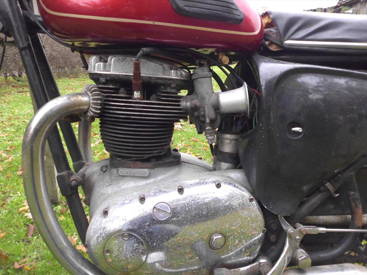 BSA A65 Lightning billede 7