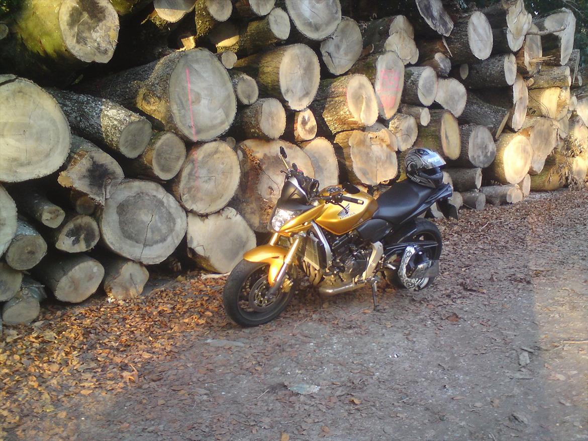 Honda cb 600f hornet Rizoma billede 1