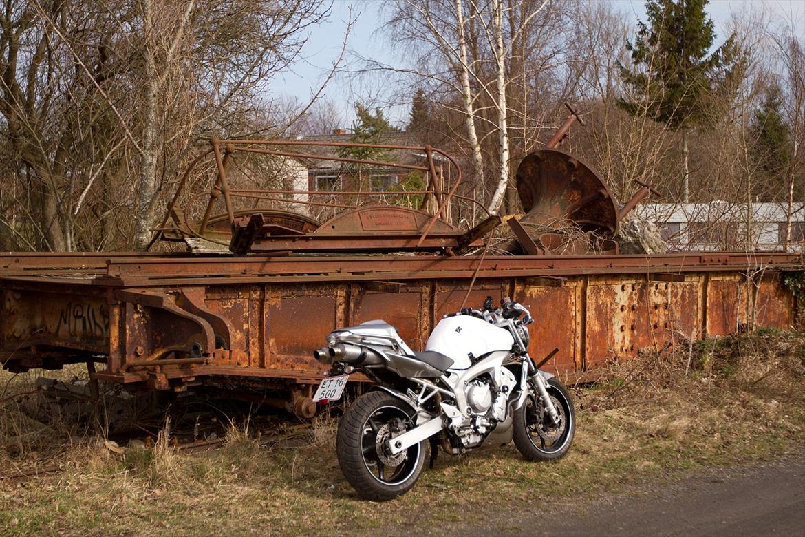 Yamaha FZ6-N billede 15