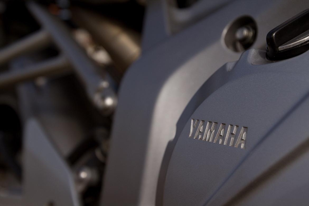 Yamaha FZ6-N billede 5