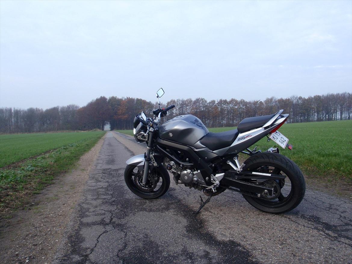 Suzuki SV 650 [SOLGT] billede 1