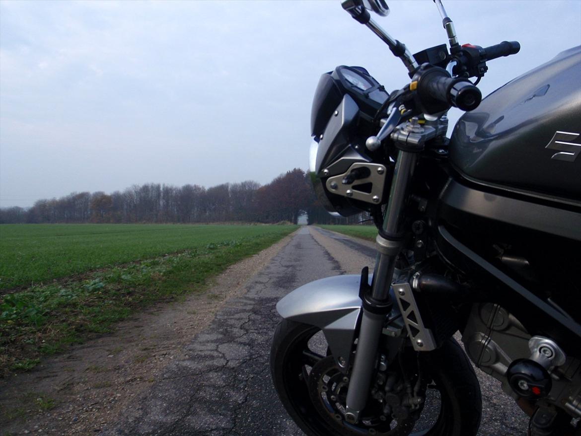 Suzuki SV 650 [SOLGT] billede 2