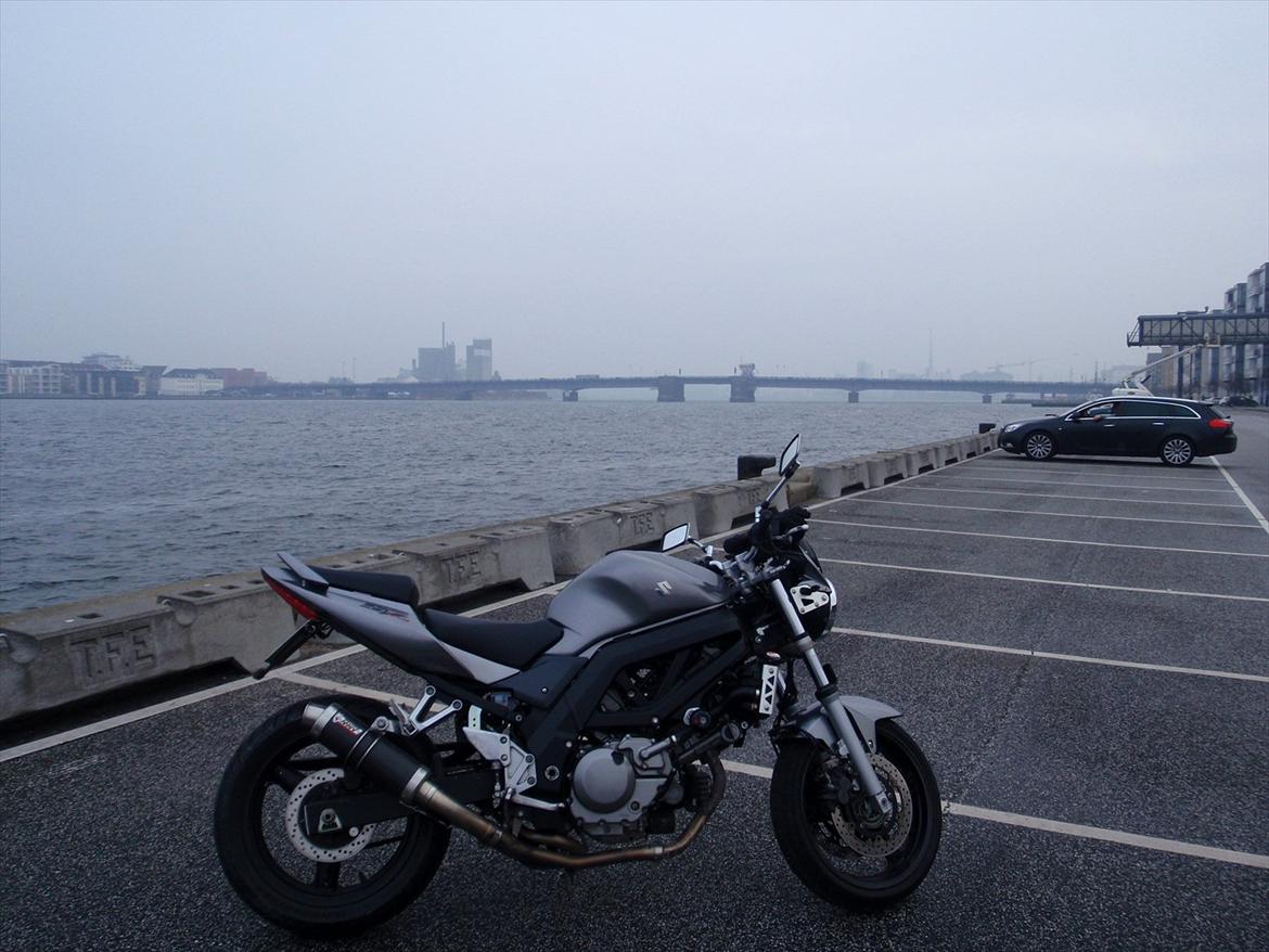 Suzuki SV 650 [SOLGT] billede 10