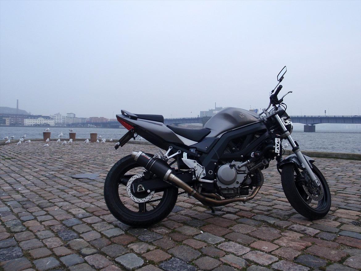 Suzuki SV 650 [SOLGT] billede 12