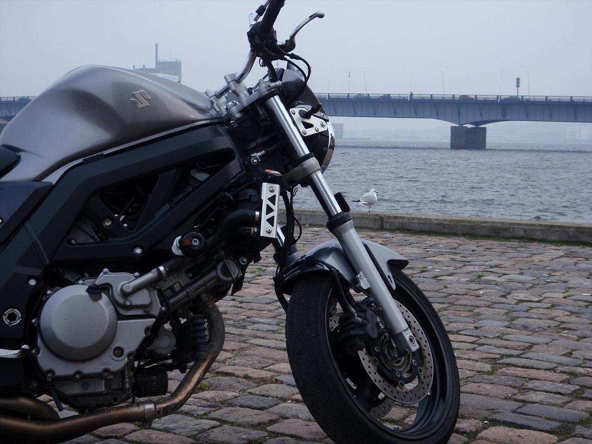 Suzuki SV 650 [SOLGT] billede 13