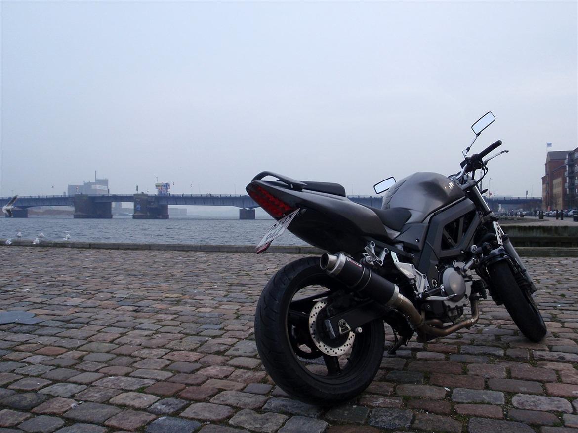 Suzuki SV 650 [SOLGT] billede 15