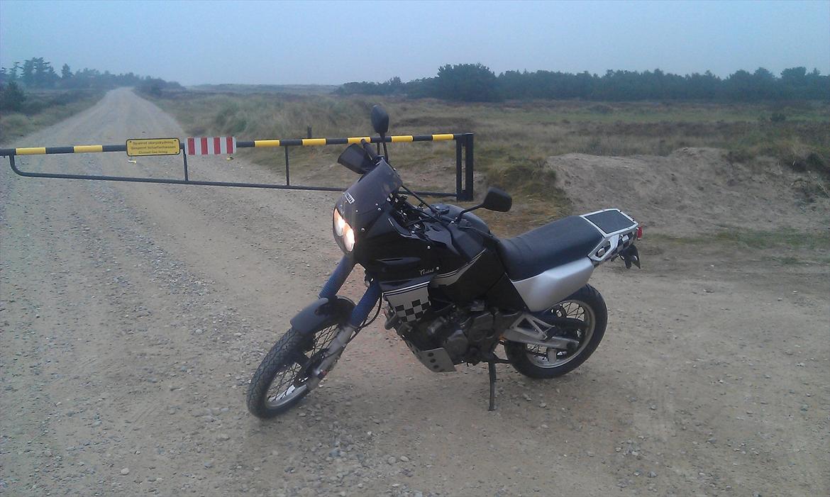 Yamaha XTZ 750 SuperTénéré billede 1