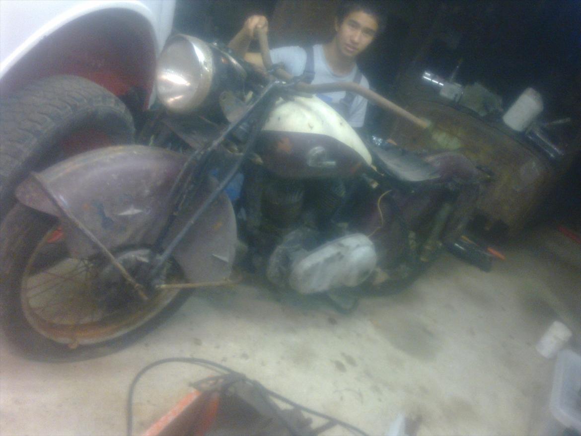 Indian Albin /Scout billede 1