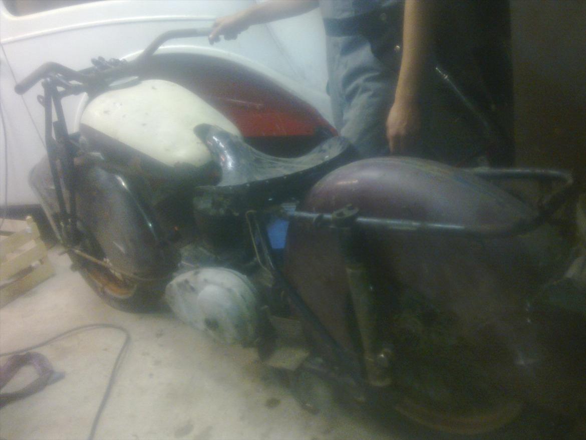 Indian Albin /Scout billede 2