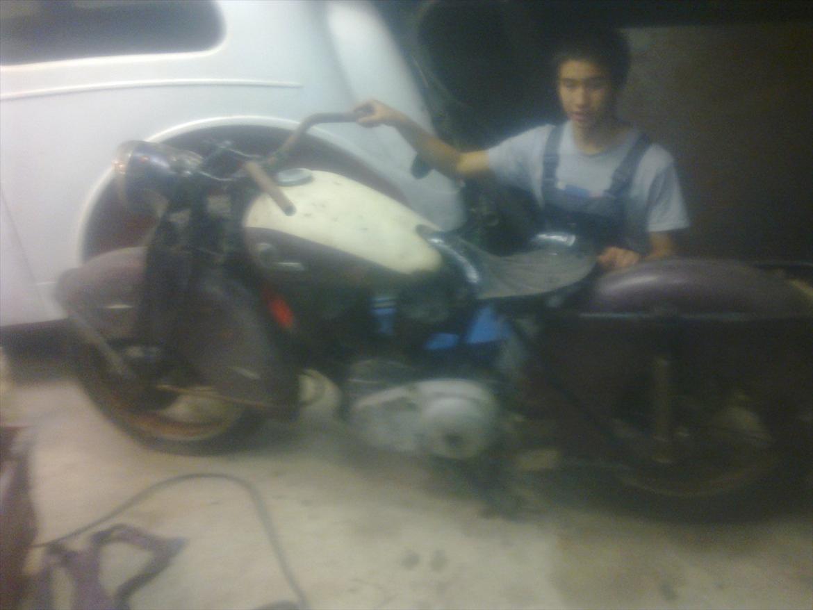 Indian Albin /Scout billede 3