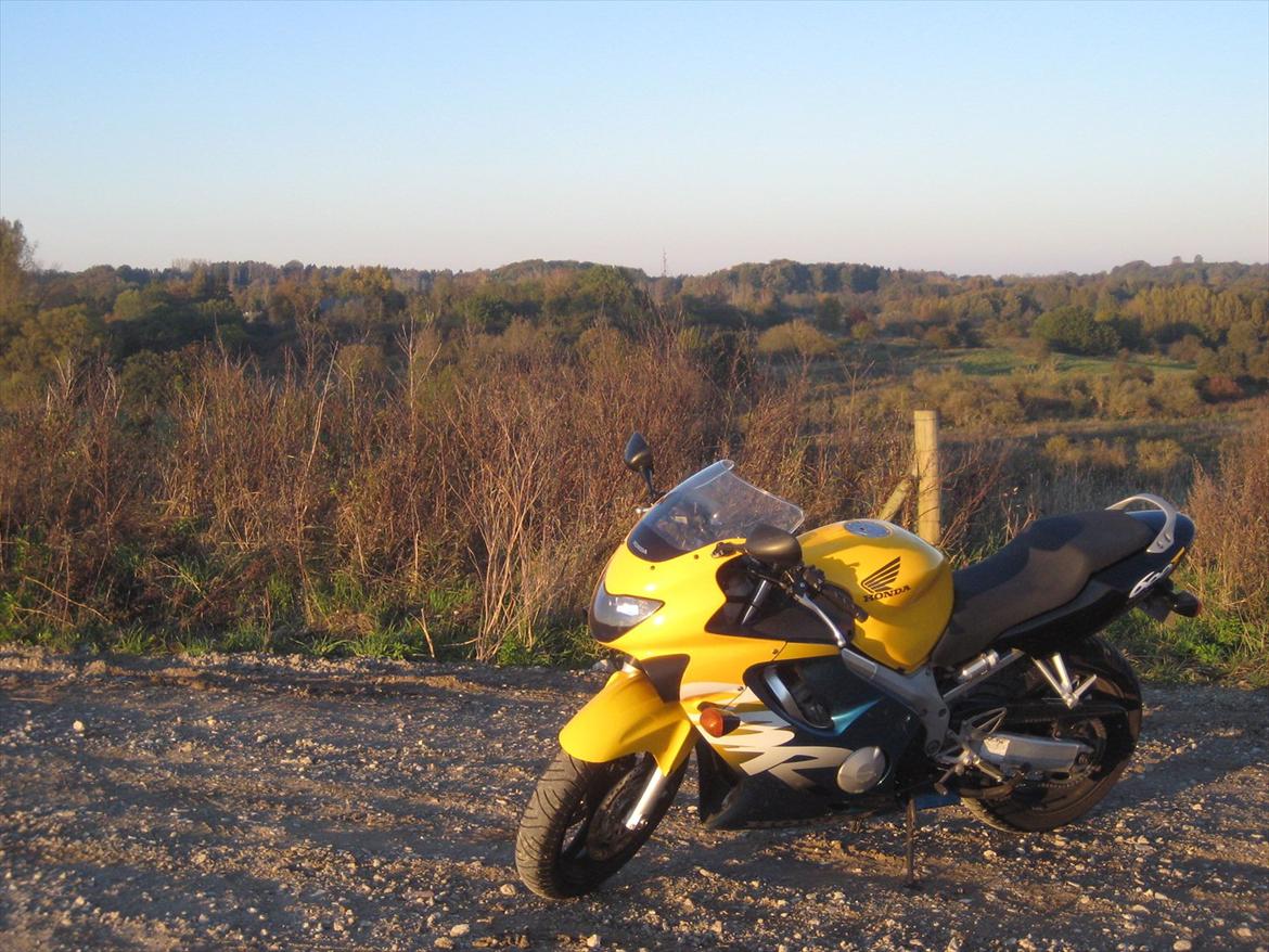 Honda CBR 600 F4 billede 6