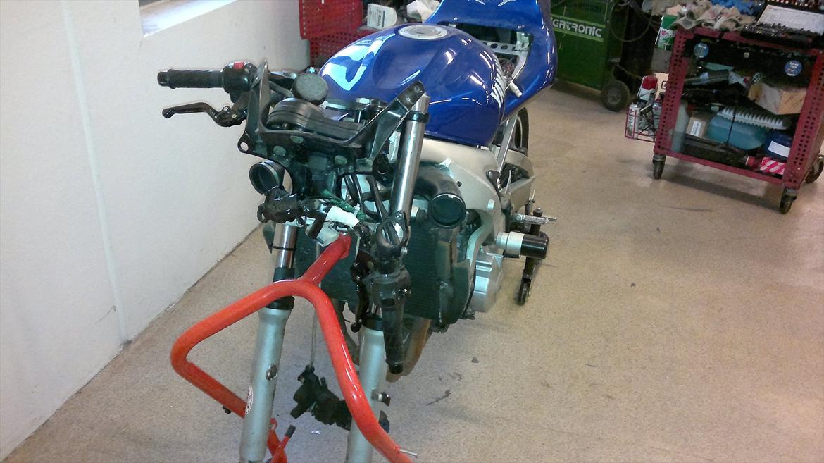 Yamaha r6 (bane) billede 9