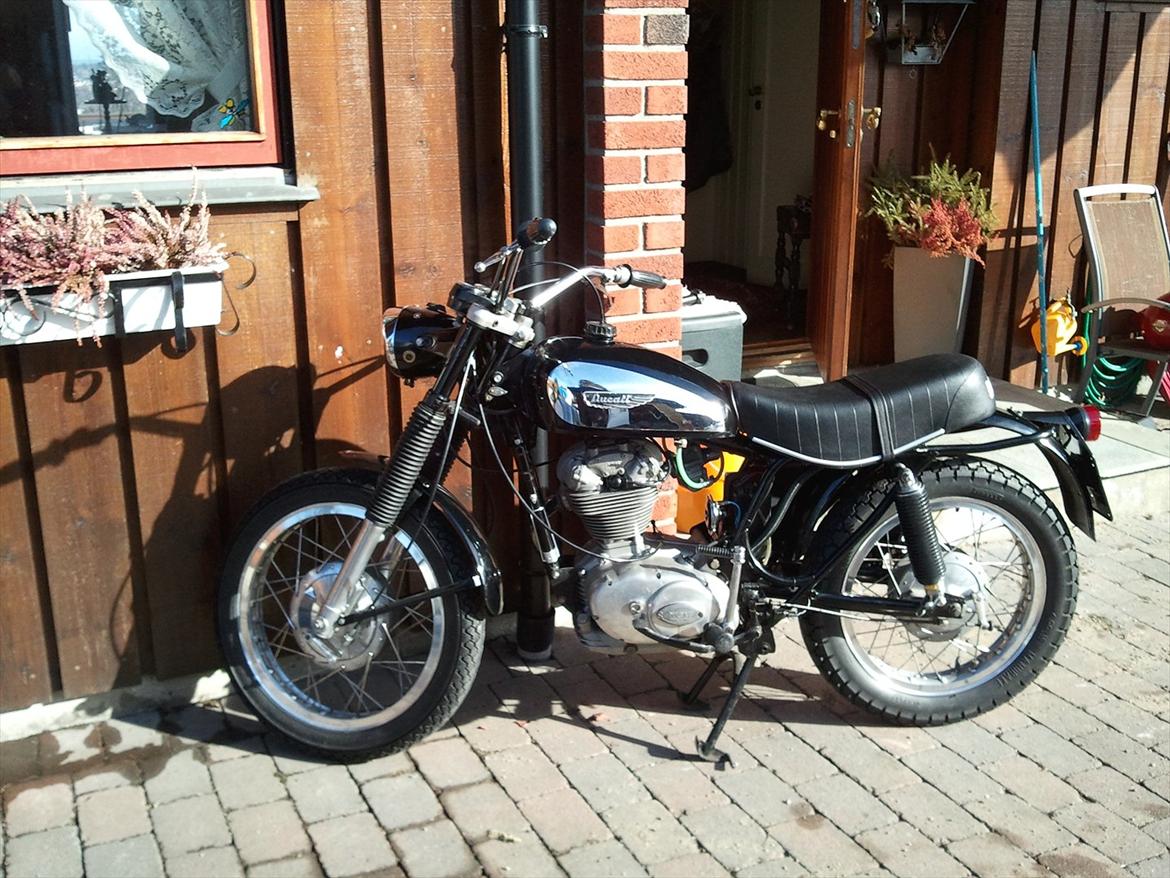 Ducati Scrambler 250 billede 2